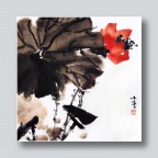 回眸一笑百媚生