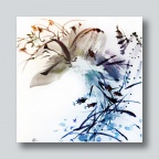 清风徐来荷声起