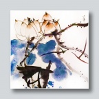 并蒂荷花幸福长