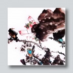 活色生香鸟谈天